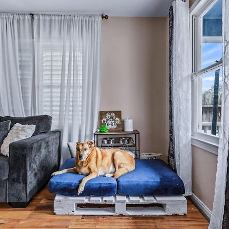 The Blue Oasis With Handicap Ramp Access Dog Friendly & Cowboy Pool غالفيستون، تكساس المظهر الخارجي الصورة