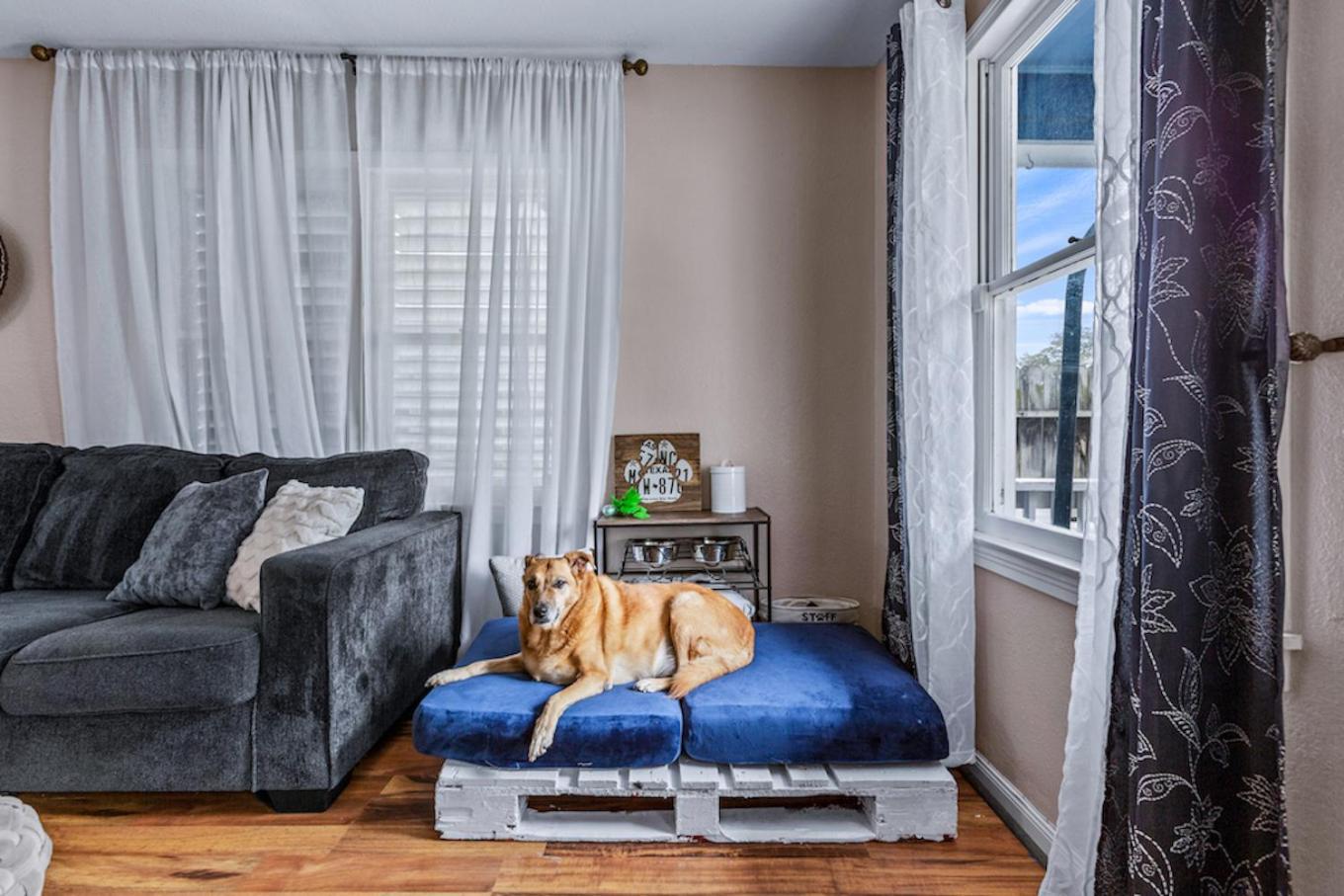The Blue Oasis With Handicap Ramp Access Dog Friendly & Cowboy Pool غالفيستون، تكساس المظهر الخارجي الصورة