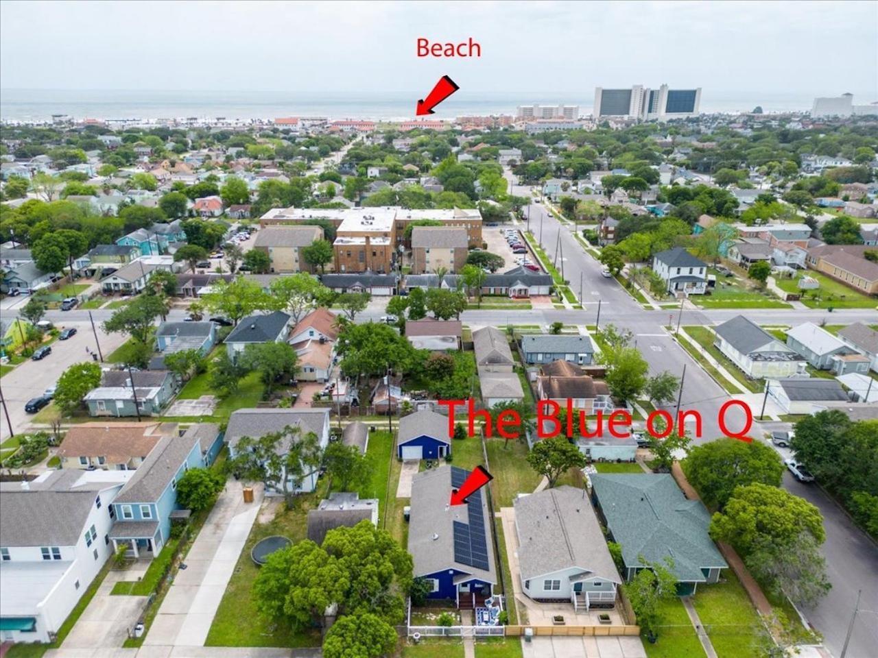 The Blue Oasis With Handicap Ramp Access Dog Friendly & Cowboy Pool غالفيستون، تكساس المظهر الخارجي الصورة